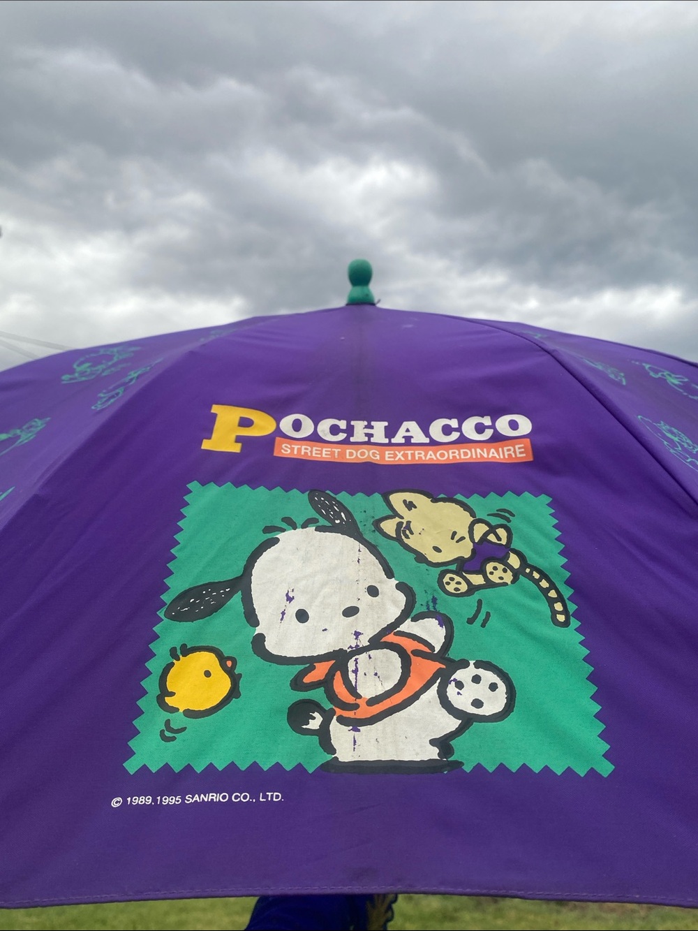 Kids Purple Umbrella with Vintage 1995 Sanrio Hello Kitty Pochacco hello kitty